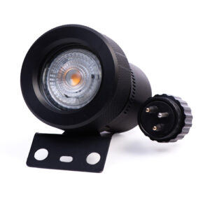 FOCO BUCEO PROFESIONAL LINTERNA